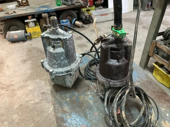 Bomba Sapo Anauger