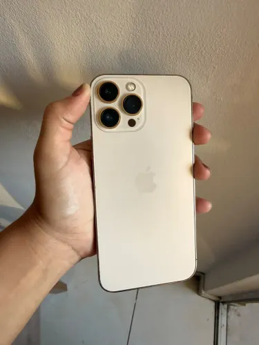 13 pro max 256gb