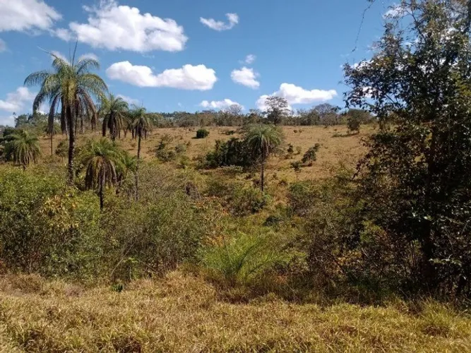 Terreno 29 ha, terra boa e quase todo formado em branquearão, Baldim.
