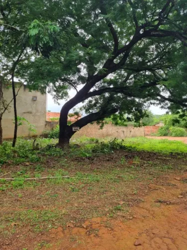 Lote em Palmas próximo atacadão 