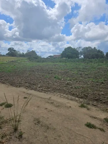 Vendo lote rural em Santo Antônio de Jesus 