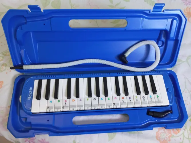 Escaleta dolphin 32 teclas no case completa novissima pouco uso