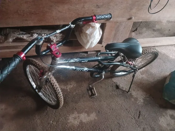 Bicicleta aro 20 DN2 FREESYEYL