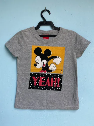 Camiseta Infantil Cinza Manga Curta, Tam 2