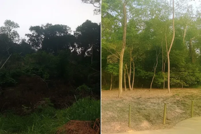 59 LOTES EM PONTA DA FRUTA | VILA VELHA | 360M²+ | PRAIA, COMÉRCIO E INVESTIMENTO, TROCO