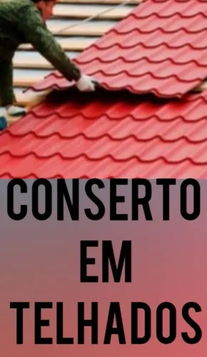Reparos em Telhados