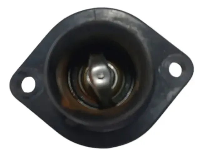 Válvula Termostática Peugeot 307 C4 2.0 2008 A 2013