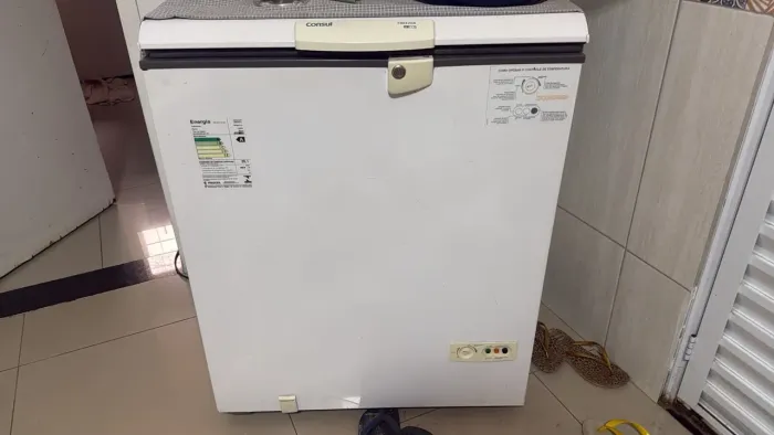 Freezer horizontal