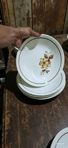 Aparelho de jantar antigo
