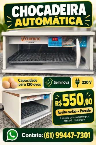 Chocadeira Automática