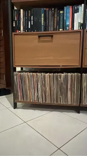 Lote discos de vinil