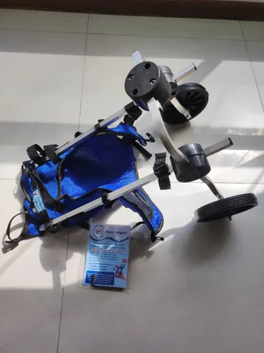 Carrinho para Pet com deficiência patas traseiras
