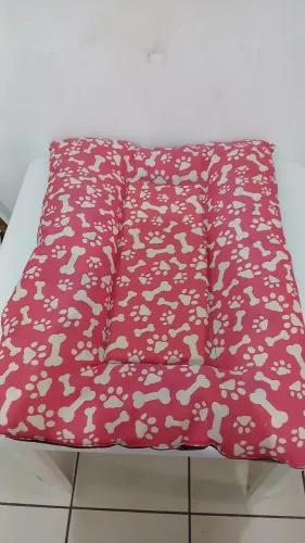 Caminha Pet