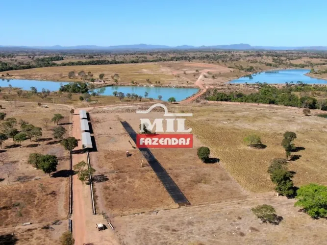 Fazenda pecuária com pivô 242 alqueires ( 1.171 hectares ) Crixas-GO