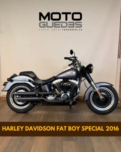 HARLEY DAVIDSON FAT BOY SPECIAL 2016
