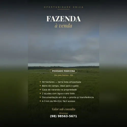 Fazenda à venda ? 50 hectares | Povoado Marcena, São João Batista/M