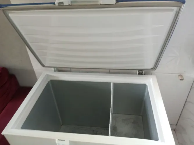 Frizzer Eletrolux 314 litros