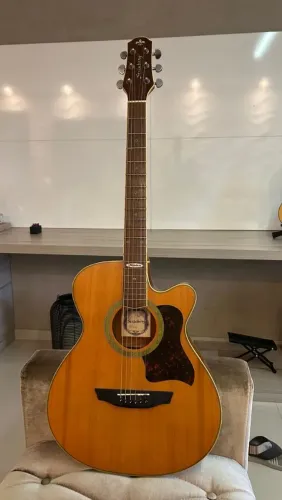 Violão Steinberg Flat