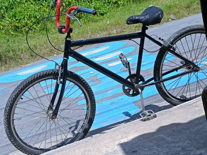Bicicleta