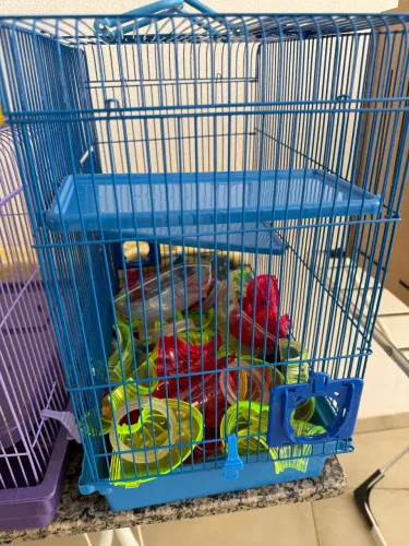 Gaiolas Hamster Gerbil Terrário