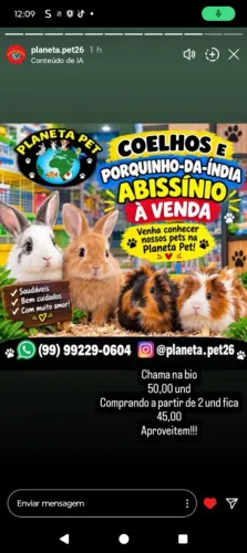 Coelho