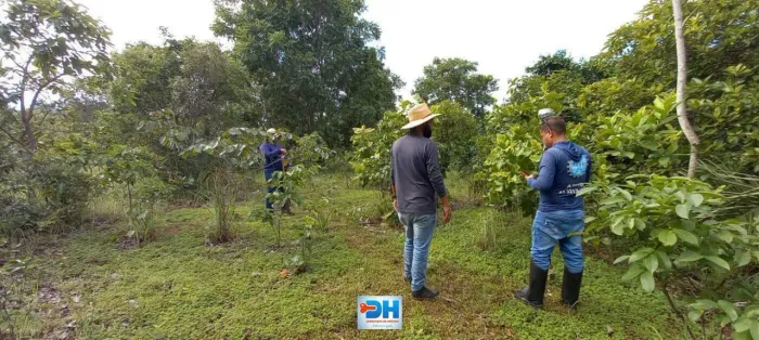 Chácara à venda - Loteamento de Chácaras Córrego Ronca - Km 19 Sentido Lajeado - Área Rura
