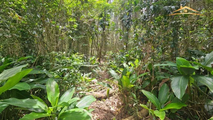 Terreno à venda, próximo ao acesso ao mar, com 10.189 m² por R$ 810.000 - Barreiros - Morr