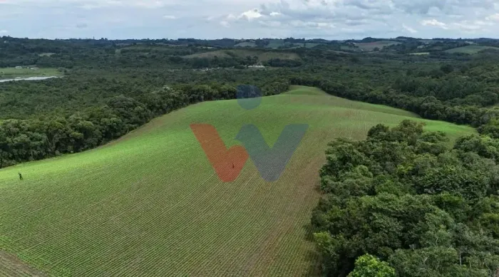 Terreno de 10 Alqueires à Venda em Araucária Oportunidade Única de Investimento