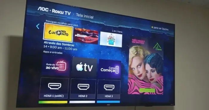 Roku tv