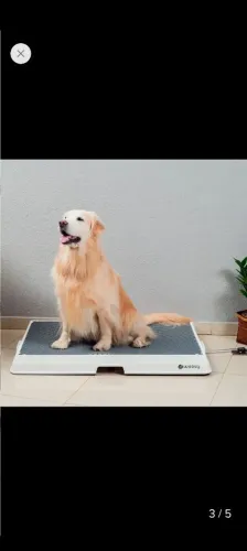 WEASY, BANHEIRO PARA SEU PET