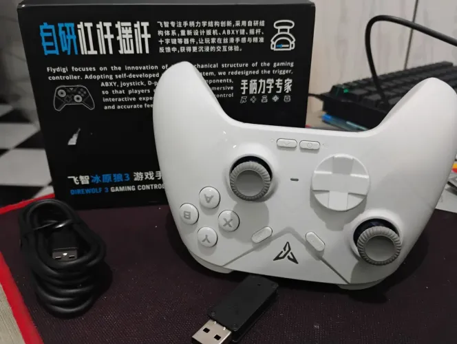 Controle Gamer Flydigi Direwolf 3 (Xbox TV) Bluetooth, Wireless ou cabo - Novo