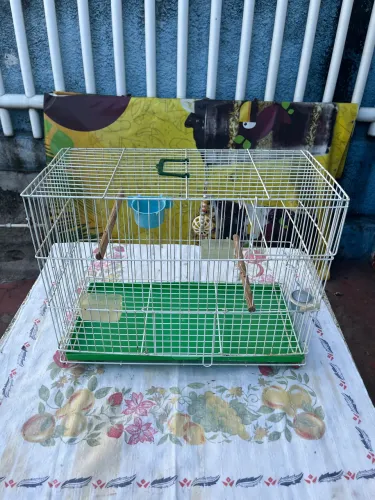 Gaiola 