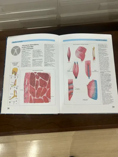 Atlas de anatomia