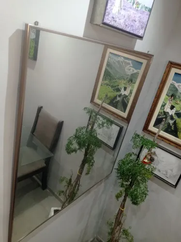 Árvore da felicidade 