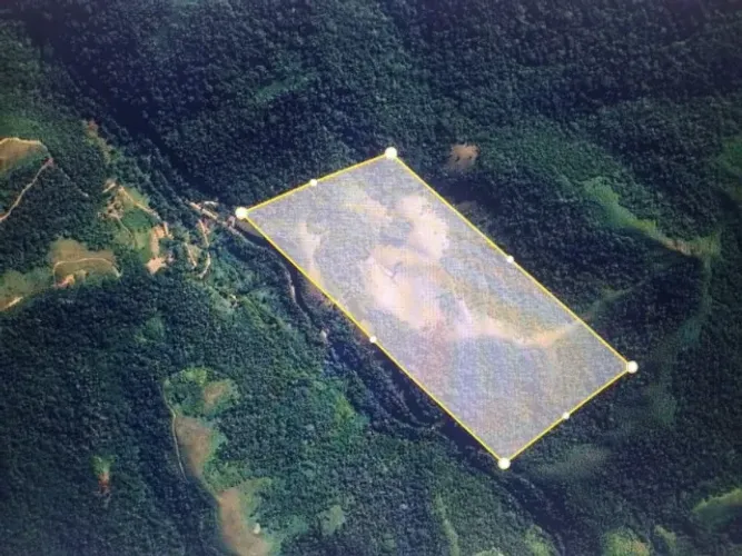 Vendo terreno produtivo (palmito pupunha), mais área verde, fácil acesso em Iporanga-SP