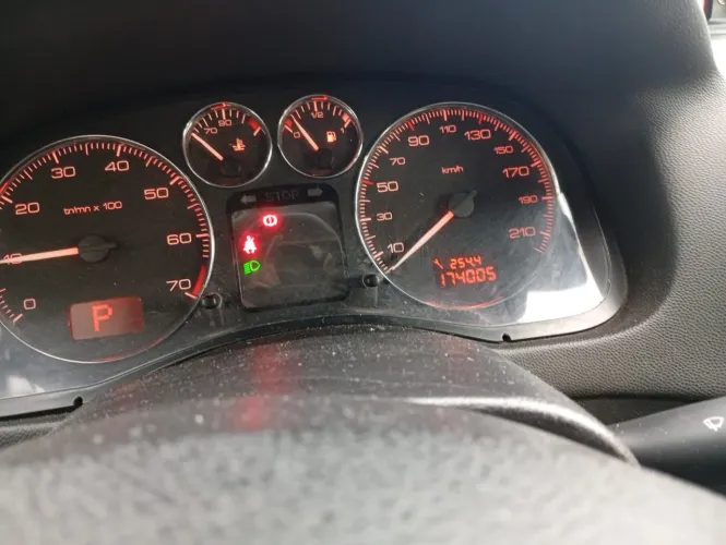 Peugeot 307 Feline/griff/premi. 2.0 Flex 5P Aut. 2008