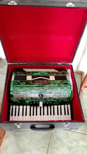 Acordeon Michael 