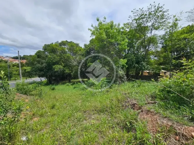 Lote Comercial Residencial Riviera codigo: 271811