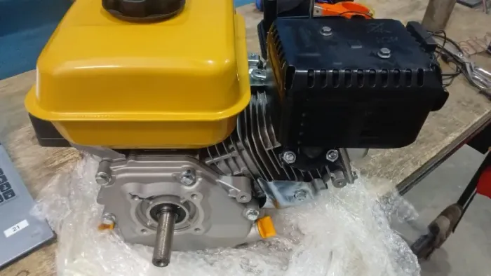 BUFFALO MOTOR BFG 4T 7.0CV-H