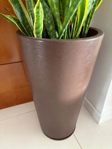 Vaso alto com planta Espada de São Jorge
