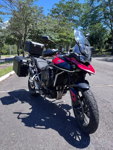 Triumph Tiger 900 GT PRO - 2024