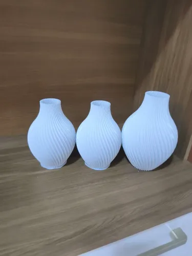 Vasos decorativo em 3D 