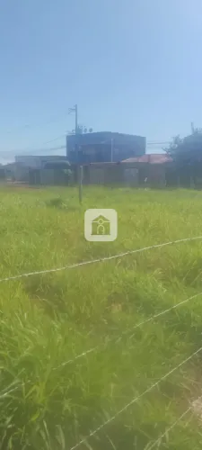 Terreno Para Venda No Bairro Jardim Sucupira
