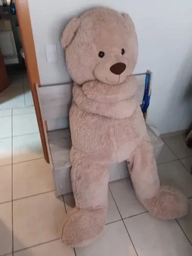 Urso Ted Semi-novo de Coleção