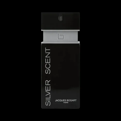 Perfume Silver Scent tradicional 100ml Tester