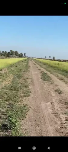Fazenda no Paraguai 3.137 hec ,R$:3 mil dólares por hec