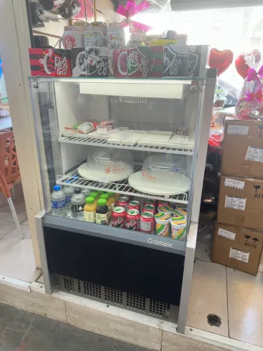 Expositor Refrigerado Gelopar 110V - Semi Novo na Garantia