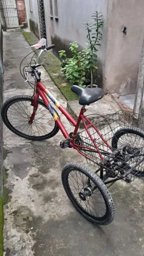 Bicicleta triciclo de carga