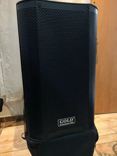 Caixa ativa gold Can12 2000w