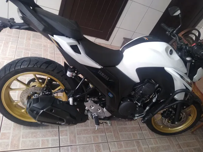 Linda Fazer conecct zero 2025